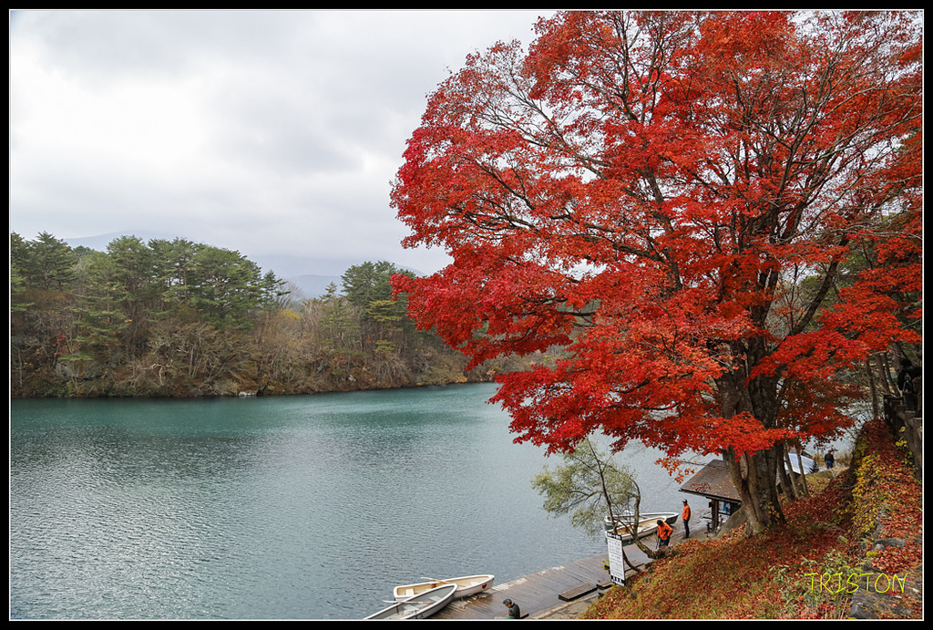 _H1A1141.jpg - 20171103 日本只見線、會津若松五色沼、昭和記念公園賞紅葉