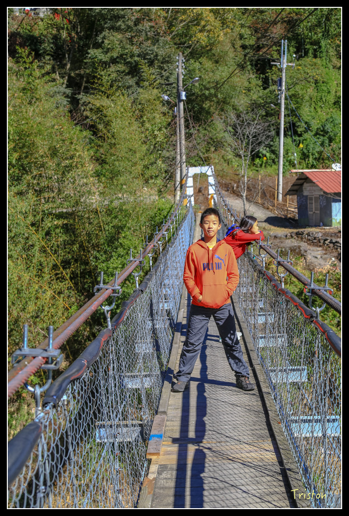 JH1A0543.jpg - 20151205 合歡溪步道、108K楓之谷