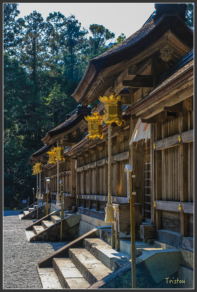 IMG_4913.jpg - 20160323 日本熊野古道健行