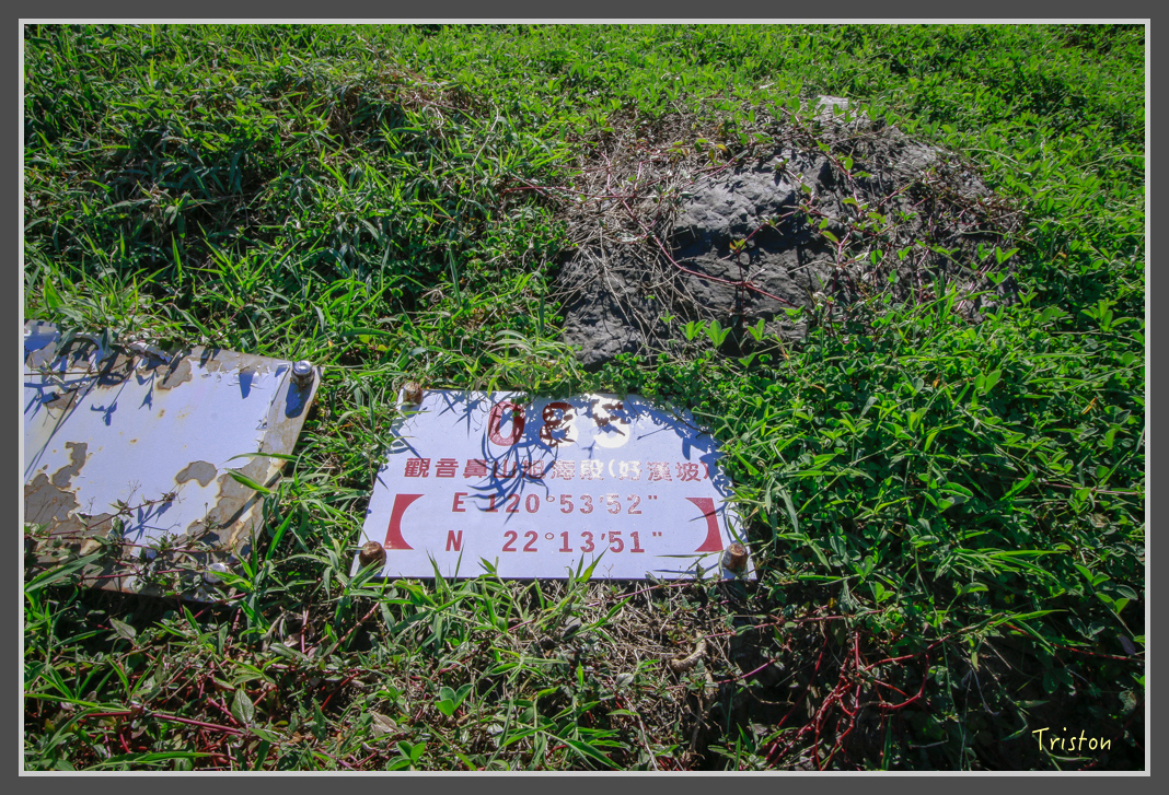 _MG_8414.jpg - 20160618 阿朗壹古道