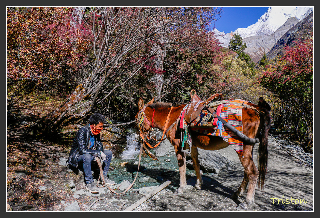 _MG_1861.jpg - 20161013 稻城亞丁