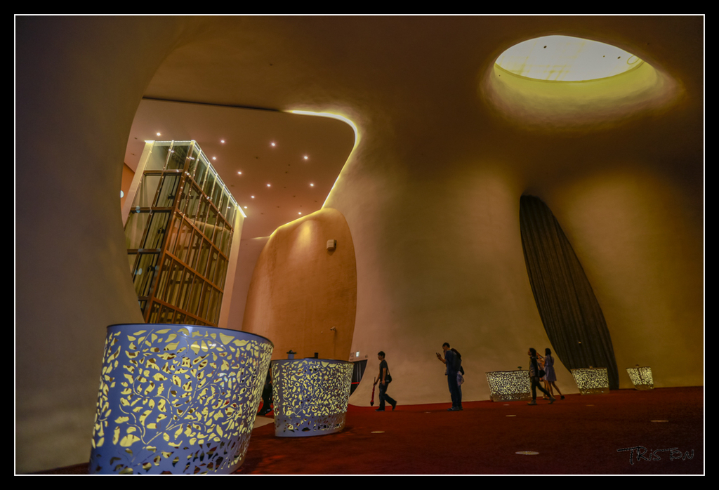 _H1A4332.jpg - 20170520 台中輕旅行-審記新村、忠信市場、國家歌劇院