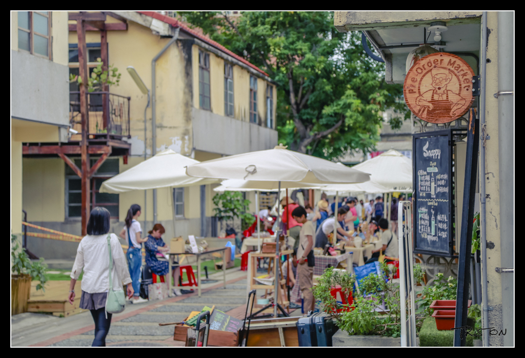 _H1A4196.jpg - 20170520 台中輕旅行－審記新村、忠信市場、國家歌劇院