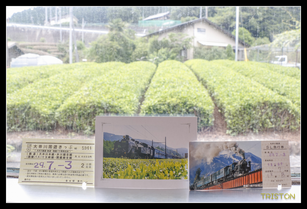 _MG_0926.jpg - 20170702 靜岡東海道之旅