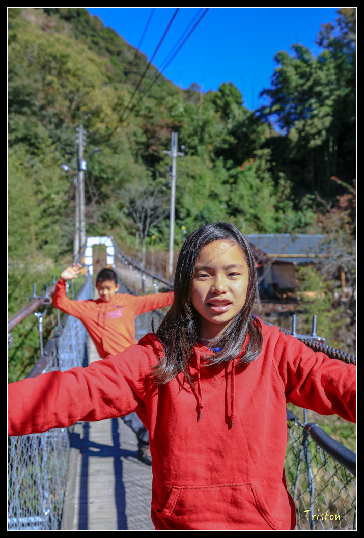 JH1A0545.jpg - 20151205 合歡溪步道、108K楓之谷