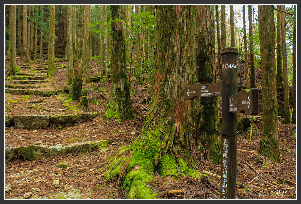 IMG_5478.jpg - 20160323 日本熊野古道健行