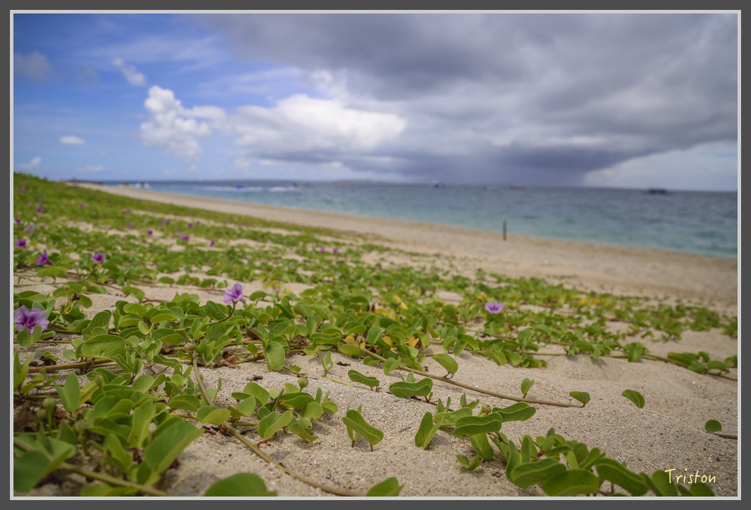 JH1A0715.jpg - 20160701 澎湖