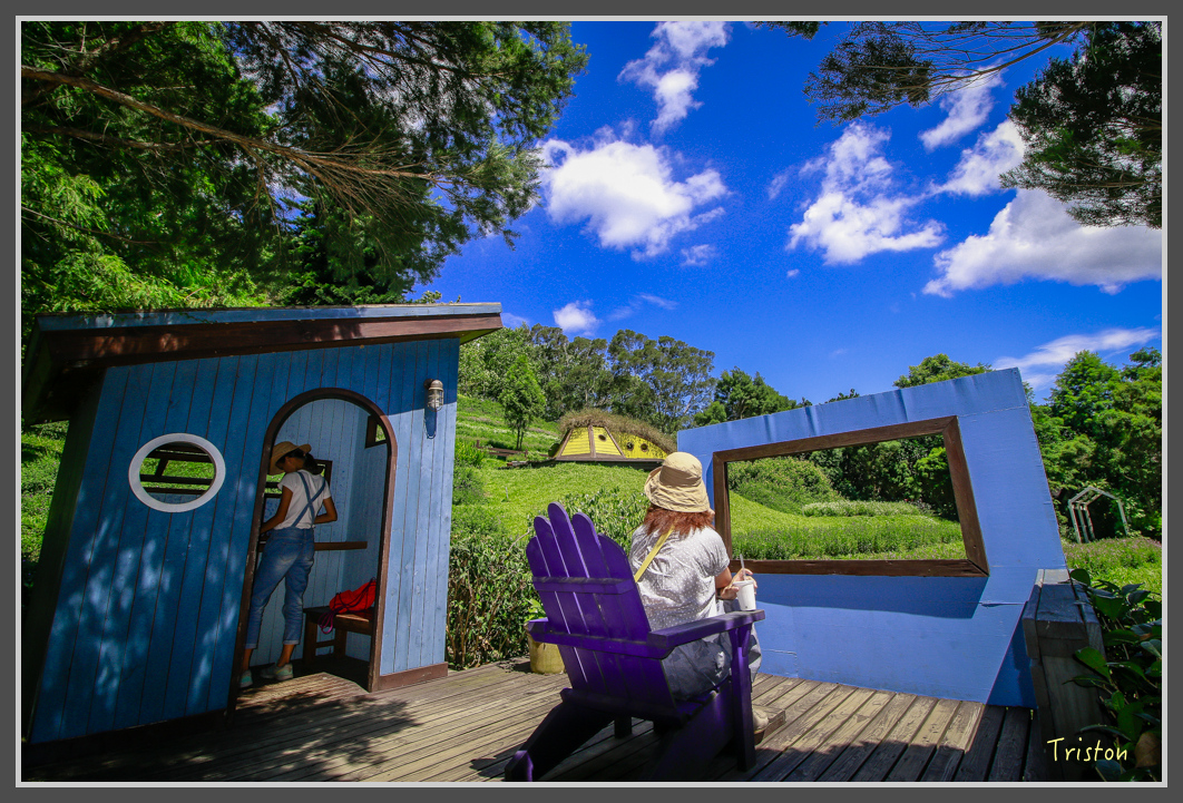 _MG_8882.jpg - 20160712 苗栗薰衣草森林