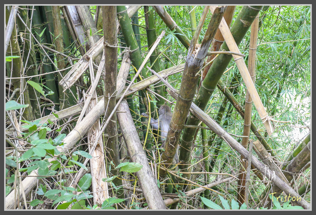 IMG_1919.jpg - 20161130 高雄旗尾山