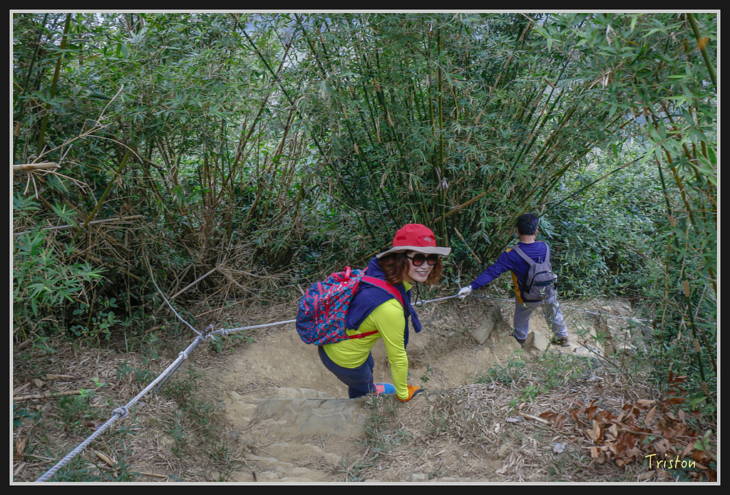 _MG_0658.jpg - 20170114 旗尾山