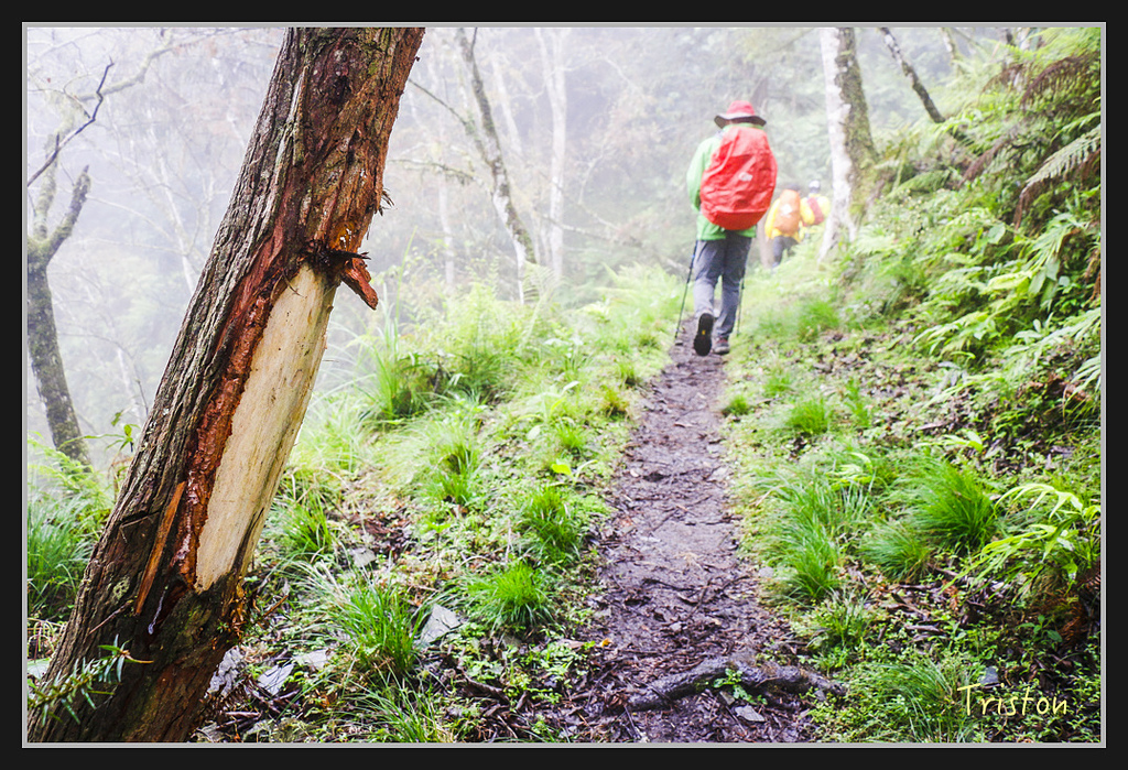 2017-02-27 10.03.53 下午 _MG_0426.jpg - 20170225 玉里瓦拉米