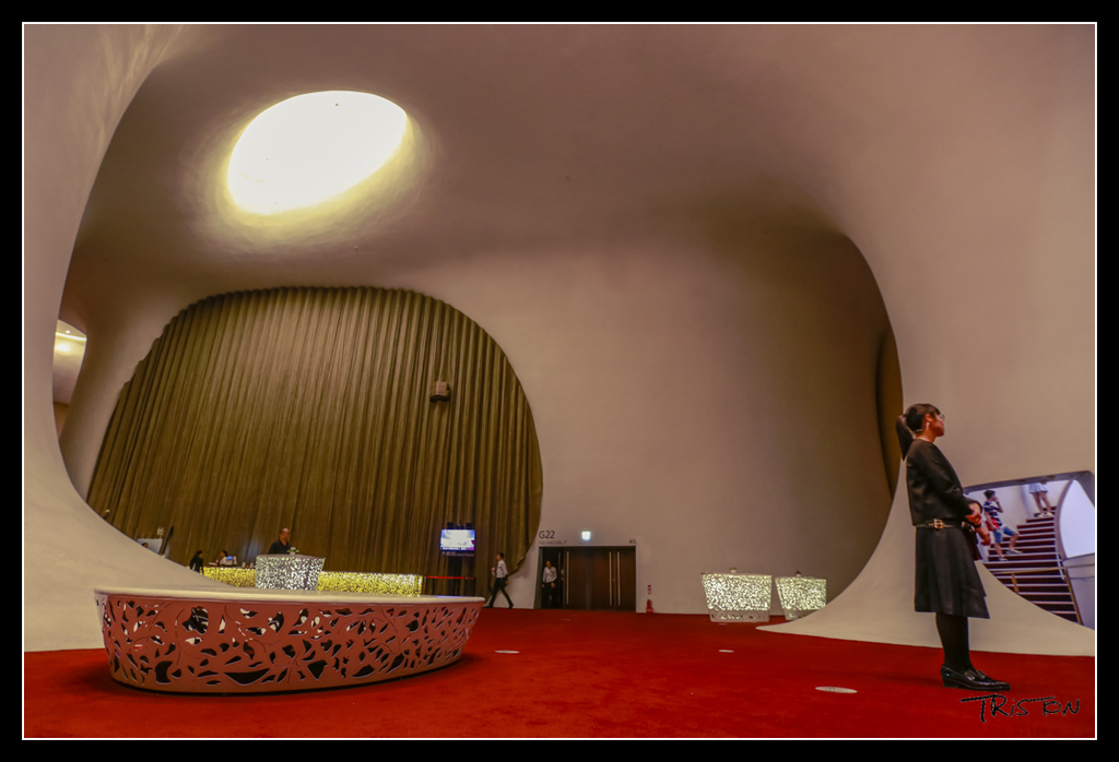 _H1A4364.jpg - 20170520 台中輕旅行-審記新村、忠信市場、國家歌劇院