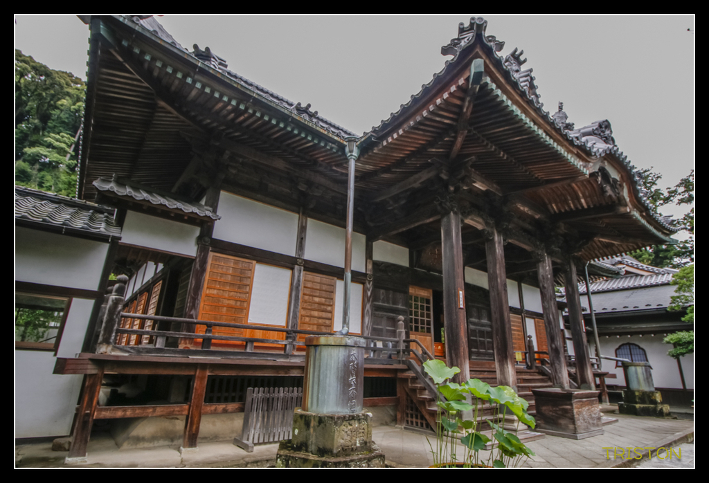 _MG_1142.jpg - 20170702 靜岡東海道之旅