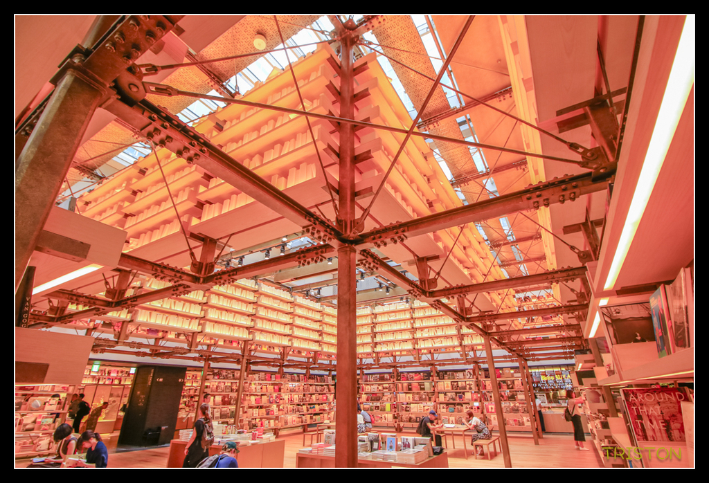 _MG_1868.jpg - 20170702 靜岡東海道之旅