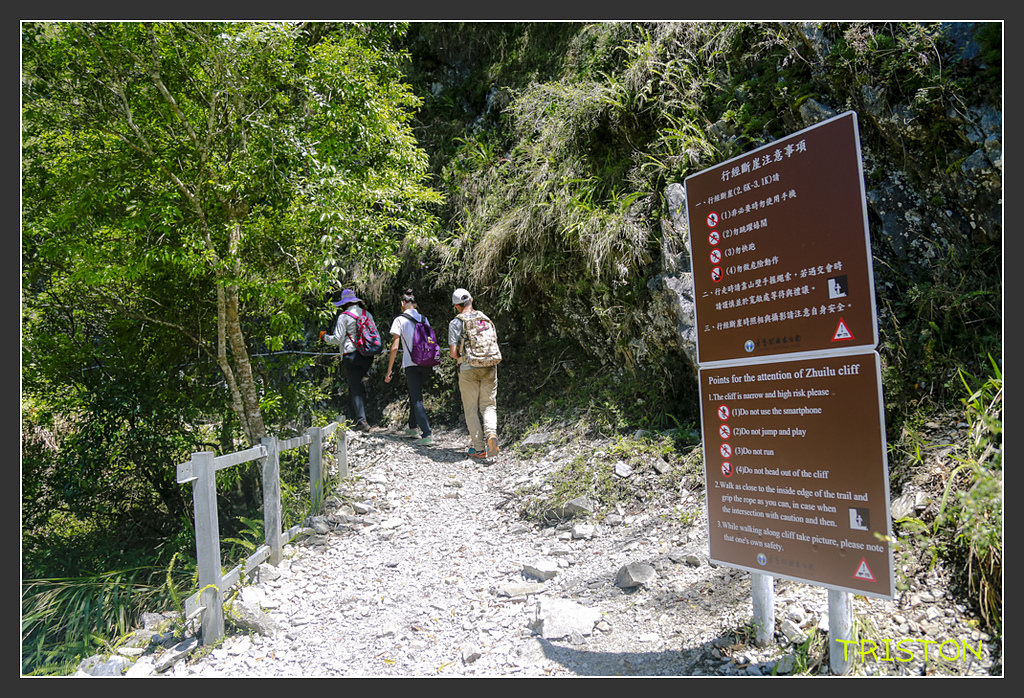 _H1A6366.jpg - 20170901 戀戀台九線