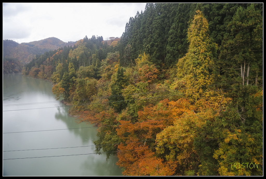 _H1A0826.jpg - 20171103 日本只見線、會津若松五色沼、昭和記念公園賞紅葉