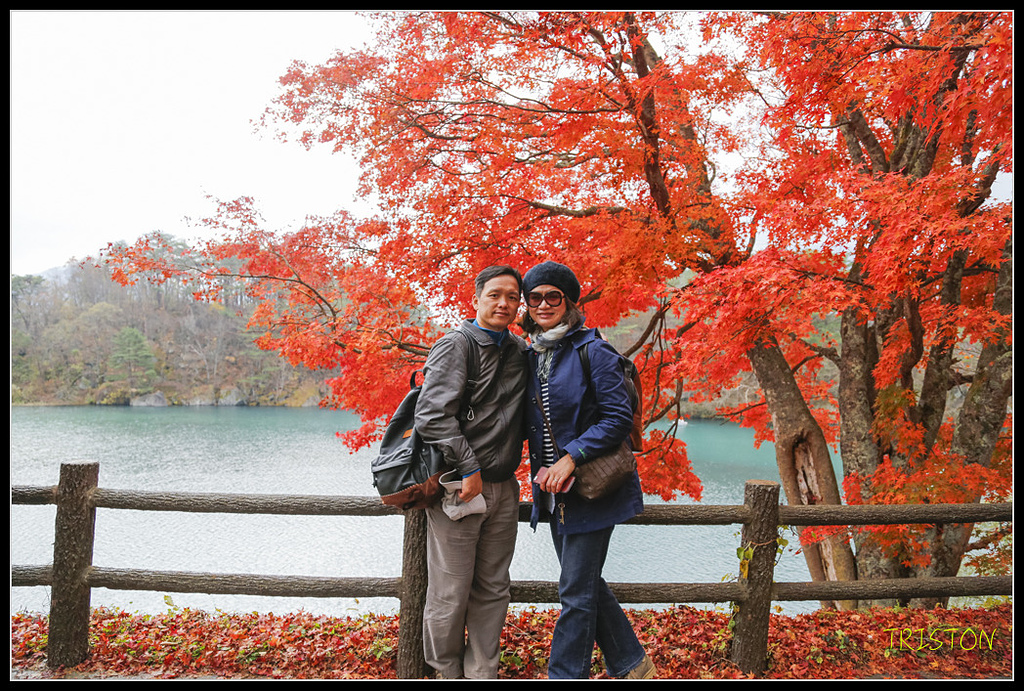 _H1A1147.jpg - 20171103 日本只見線、會津若松五色沼、昭和記念公園賞紅葉