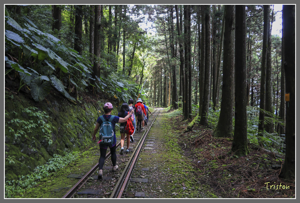IMG_2145.jpg - 20180728 得恩亞納O形縱走