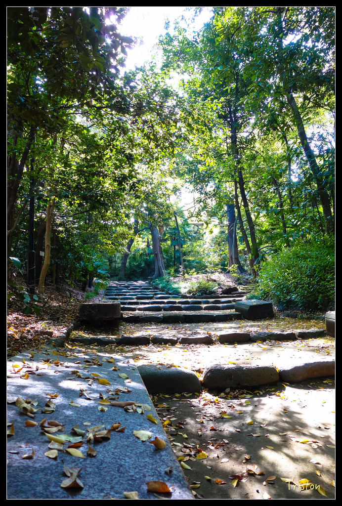 DSC00221.jpg - 20151031 秋天的童話-貴婦東京輕井澤紀行