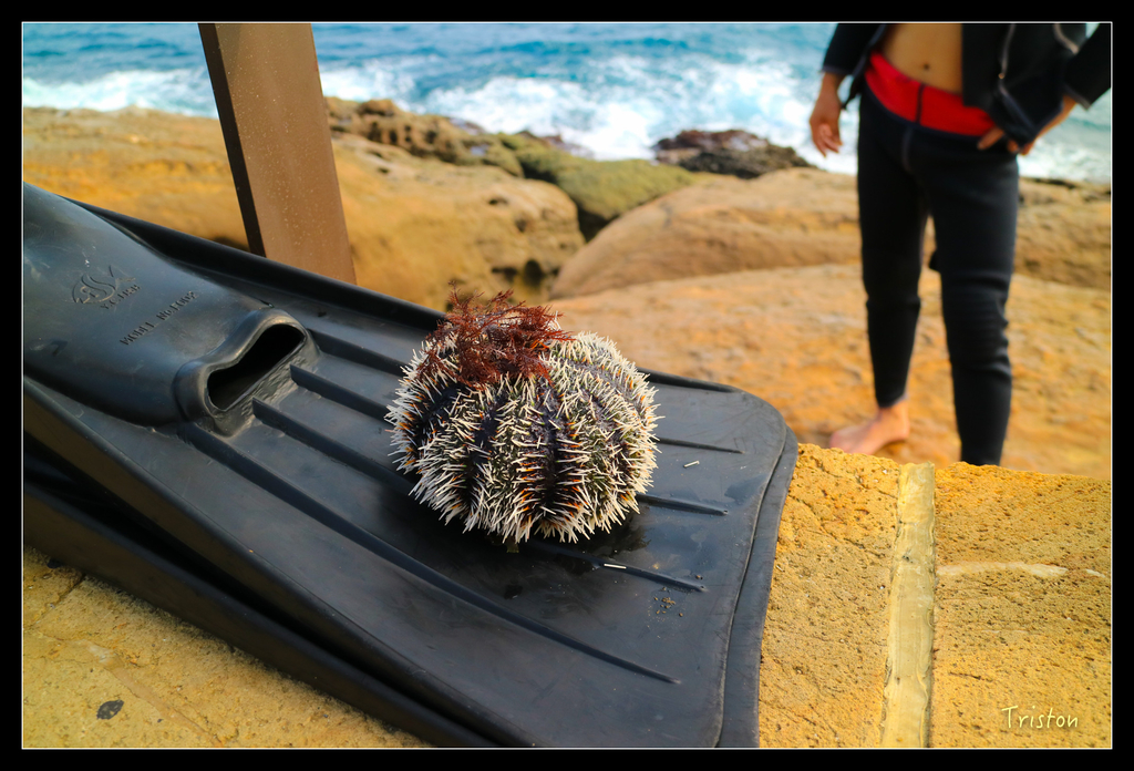 IMG_0402.jpg - 20151107 富士坪古道