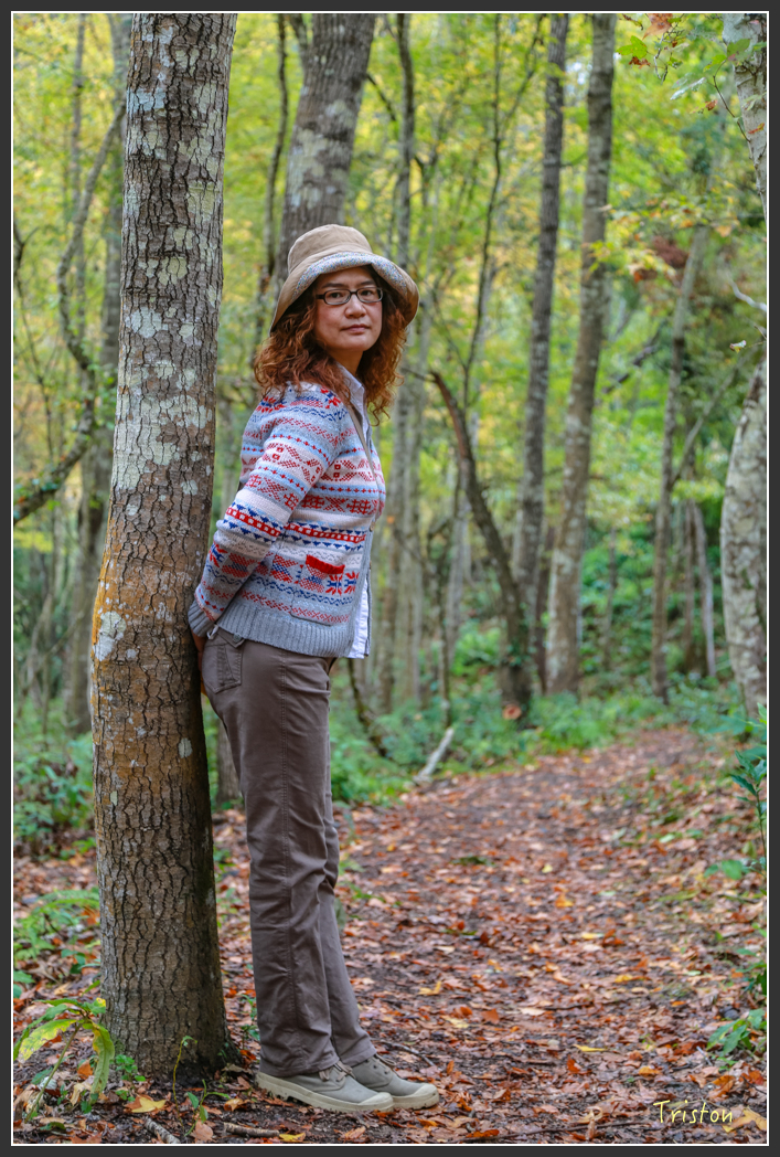 JH1A1206.jpg - 20151221 新竹秀巒賞楓