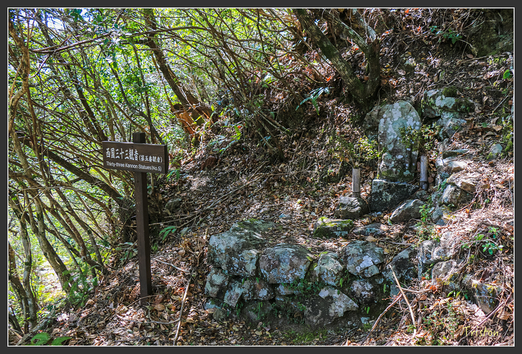 IMG_4804.jpg - 20160323 日本熊野古道健行