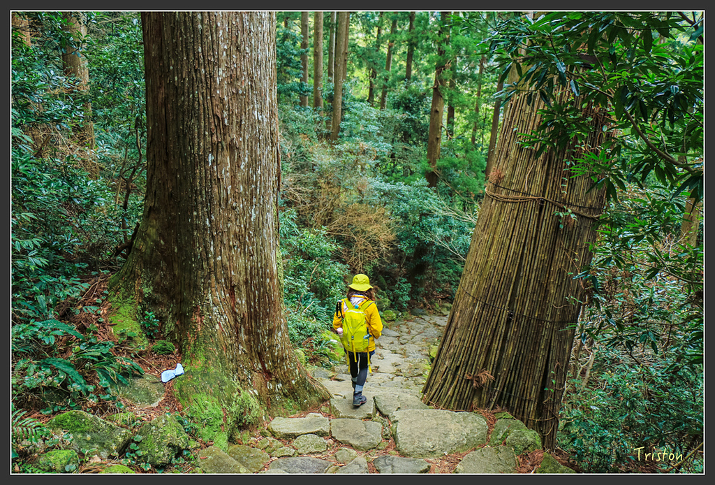 IMG_5686.jpg - 20160323 日本熊野古道健行