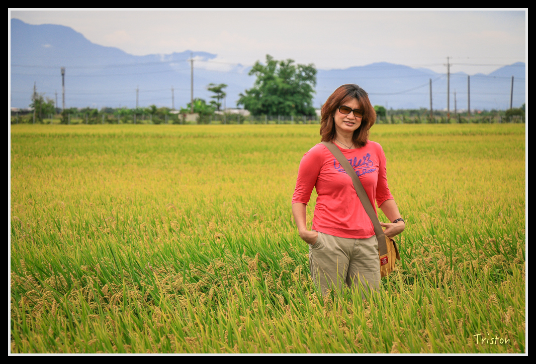 IMG_7479.jpg - 20160609 嘉義一日小旅行