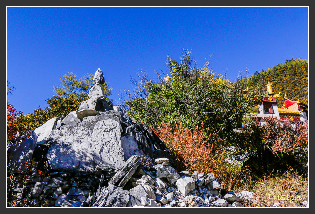 _MG_2021.jpg - 20161013 稻城亞丁