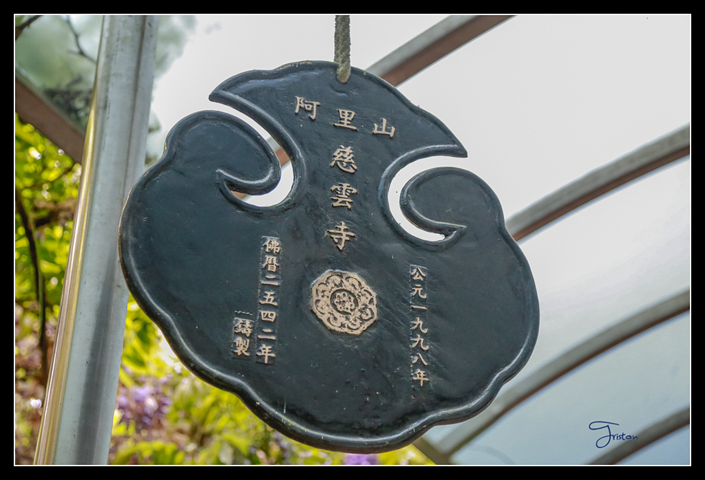 _H1A3765.jpg - 20170425 阿里山+圓潭螢火蟲