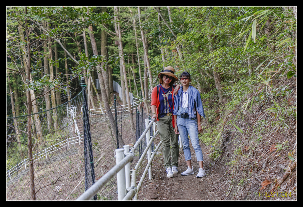 _MG_0560.jpg - 20170702 靜岡東海道之旅