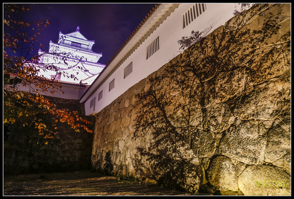 _H1A1062.jpg - 20171103 日本只見線、會津若松五色沼、昭和記念公園賞紅葉