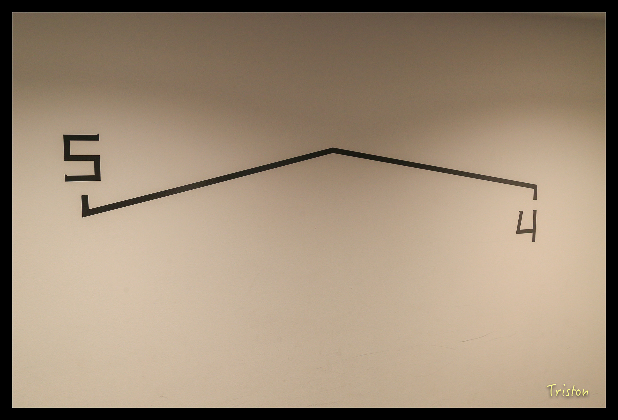 JH1A8909.jpg - 20150628 東京輕井澤日光