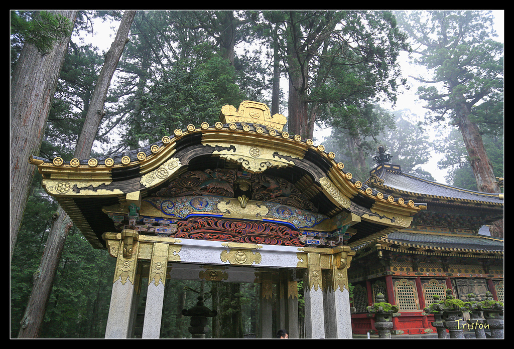 JH1A9962.jpg - 20150628 東京輕井澤日光