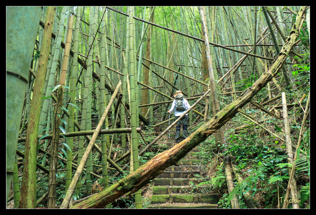 IMG_8408.jpg - 20151012 水社寮,四天王山