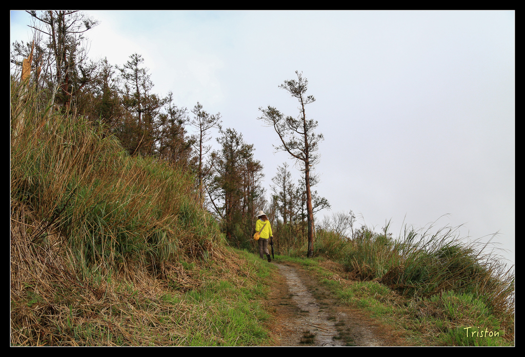 JH1A0154.jpg - 20151024~25 幾米公園、翠峰湖、翠峰山屋、望洋山步道、山毛櫸步道