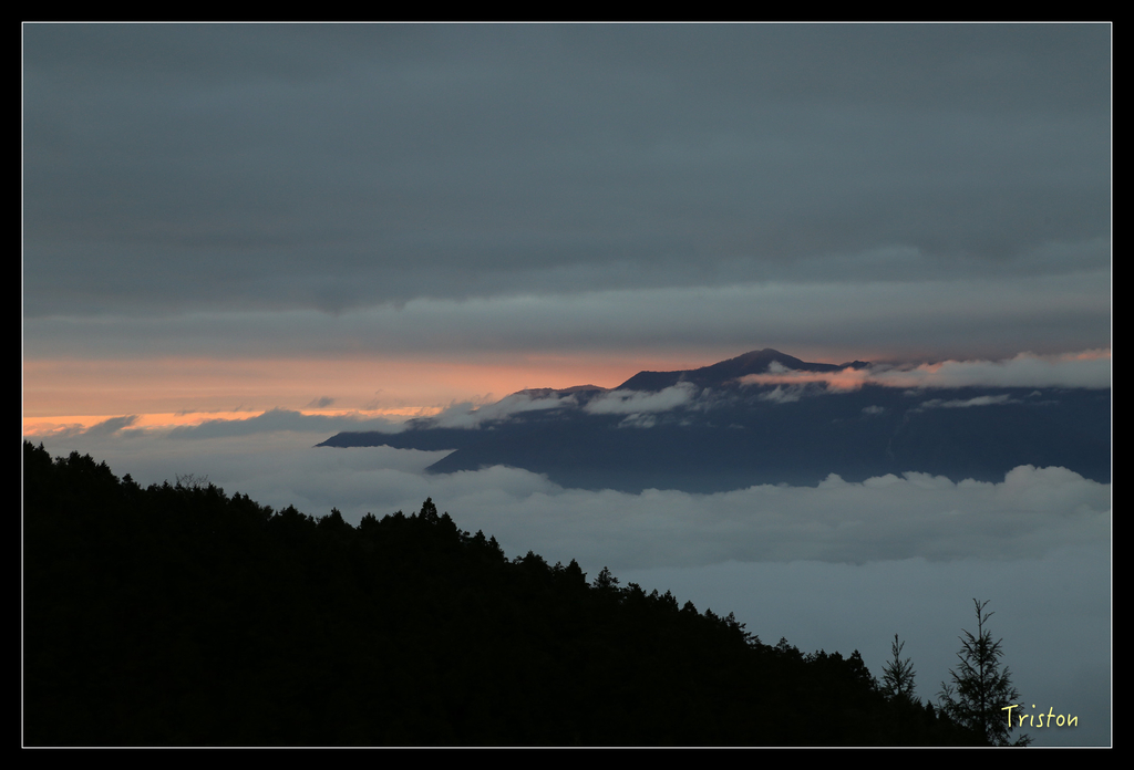 JH1A9998.jpg - 20151024~25 幾米公園、翠峰湖、翠峰山屋、望洋山步道、山毛櫸步道