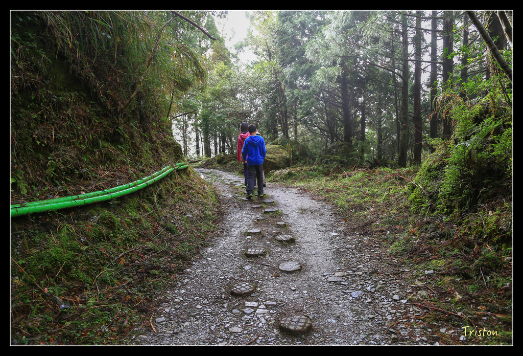 JH1A0120.jpg - 20151024~25 幾米公園、翠峰湖、翠峰山屋、望洋山步道、山毛櫸步道