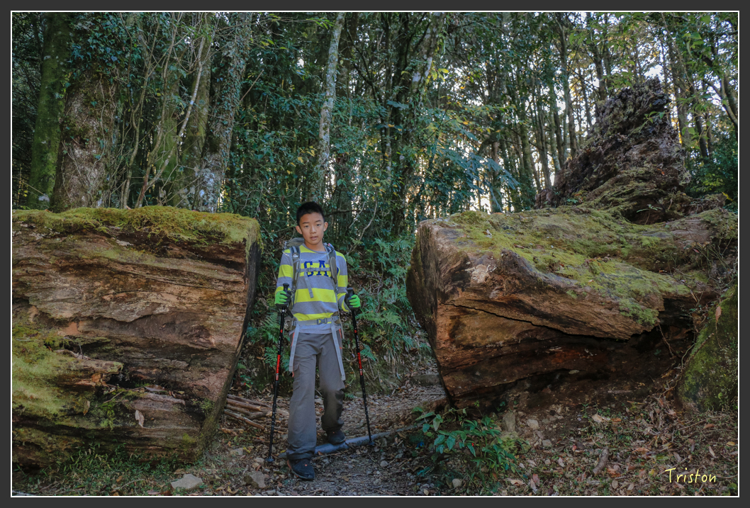 IMG_0744.jpg - 20151219 鳶嘴稍來山、小雪山林道