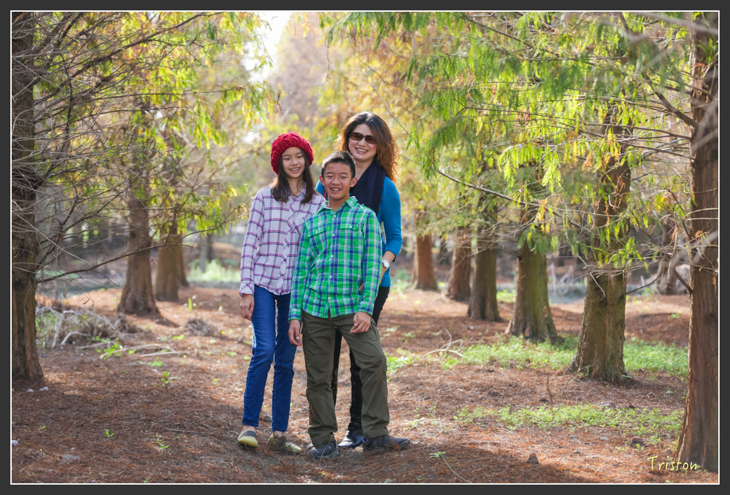 JH1A7990.jpg - 20160101 溪州落羽松 白水湖