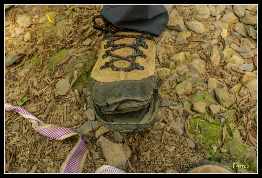 IMG_7344.jpg - 20160531 屏東笠頂山