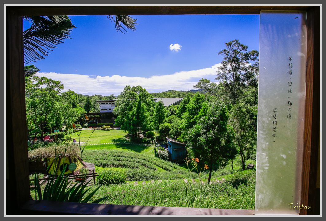 _MG_8890.jpg - 20160712 苗栗薰衣草森林