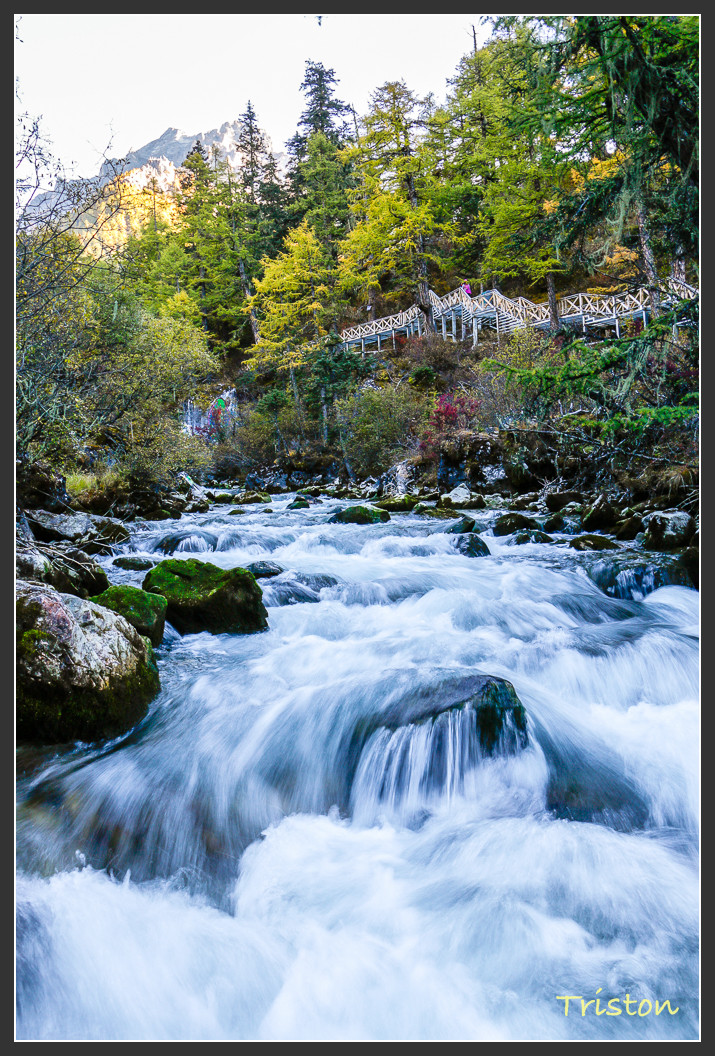 _MG_1983.jpg - 20161013 稻城亞丁