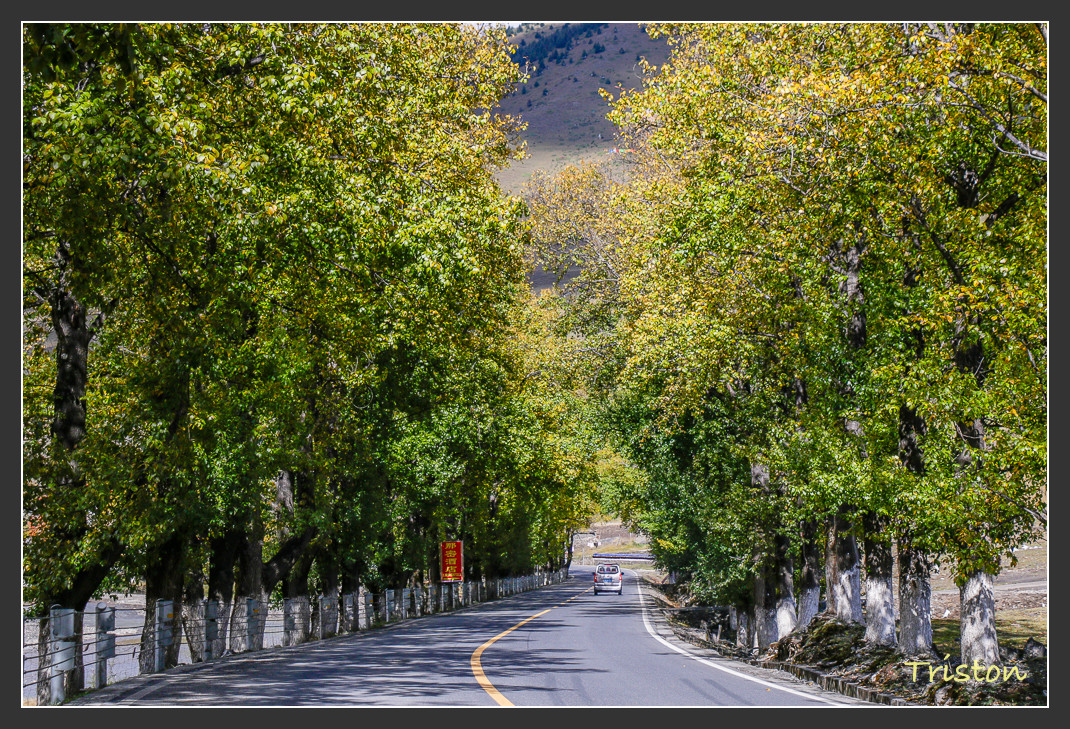 _MG_1261.jpg - 20161013 稻城亞丁