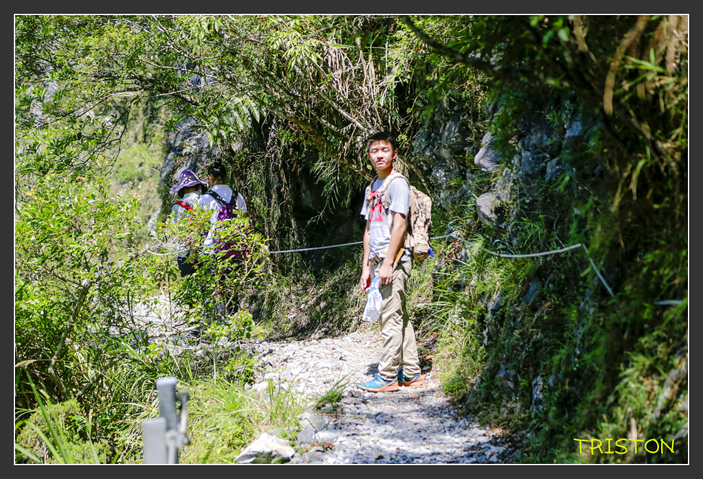 _H1A6367.jpg - 20170901 戀戀台九線