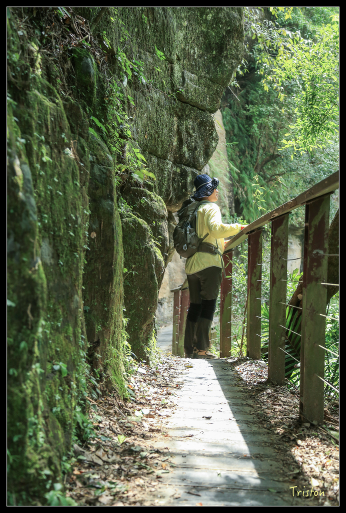 JH1A9880.jpg - 20151005 竹坑溪步道