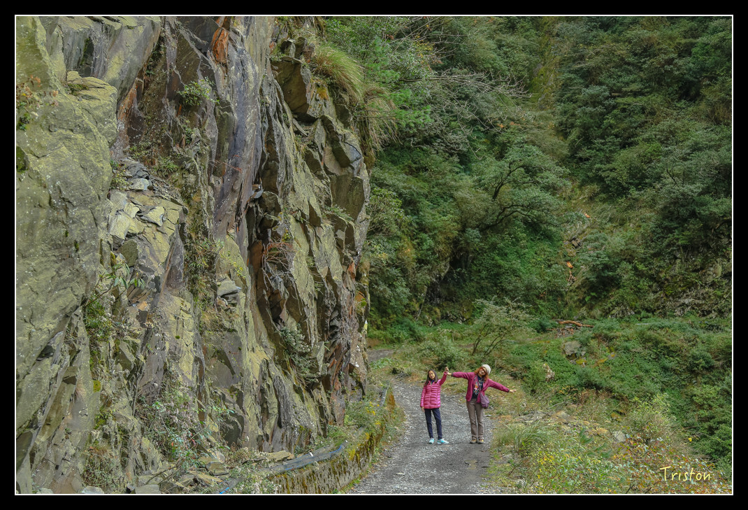 JH1A0758.jpg - 20151205 合歡溪步道、108K楓之谷