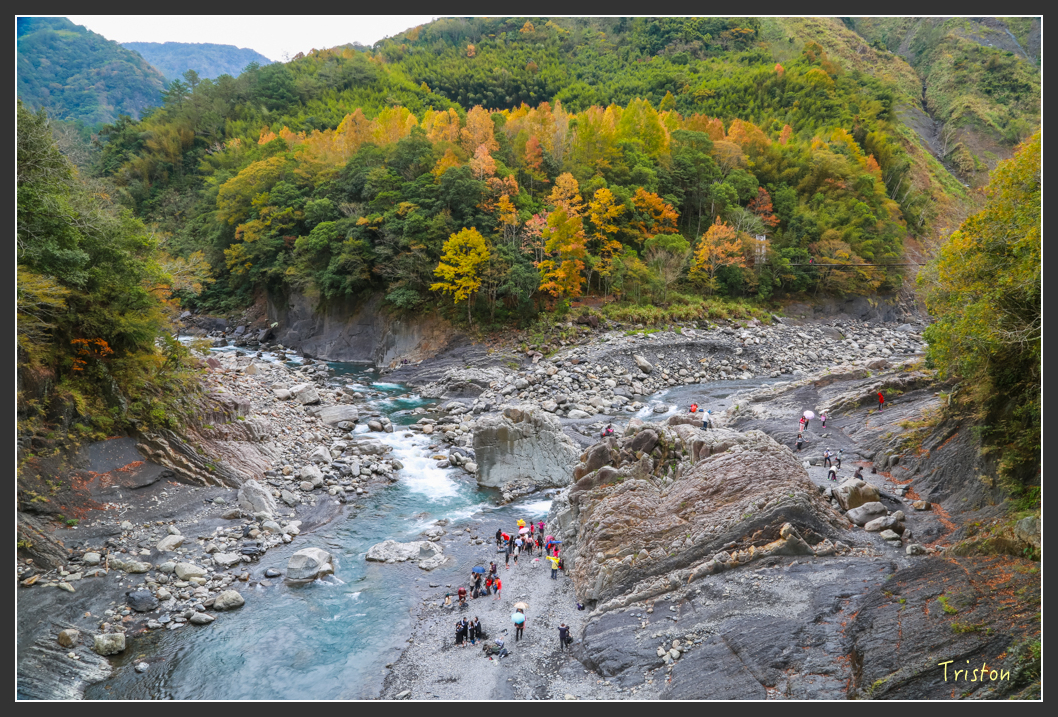 JH1A1331.jpg - 20151221 新竹秀巒賞楓