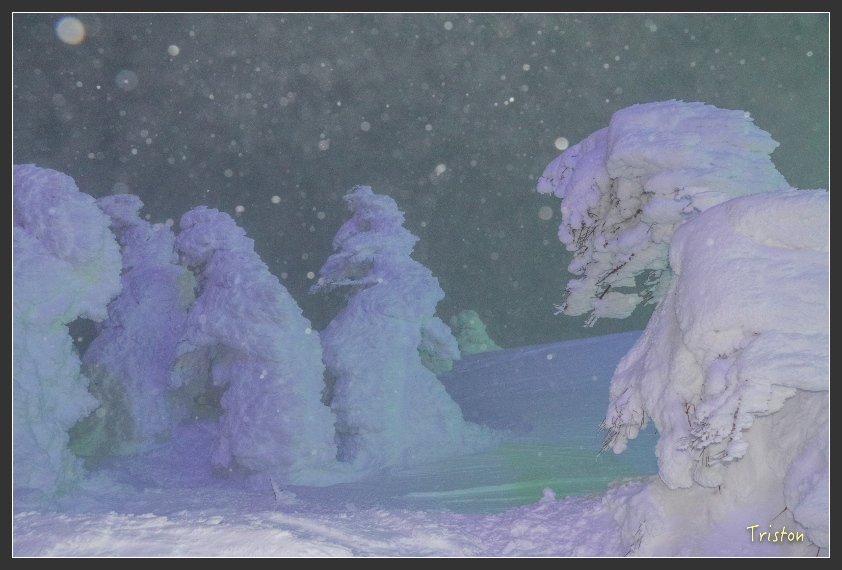 2016ZAO-00939.jpg - 20160131 日本藏王溫泉滑雪親子行