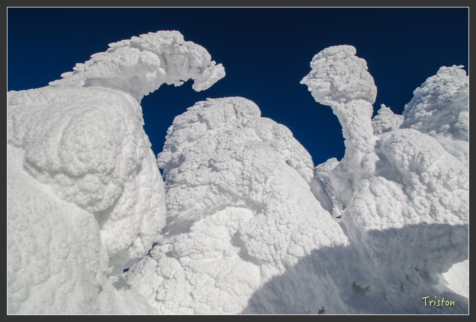 2016ZAO-01624.jpg - 20160131 日本藏王溫泉滑雪親子行